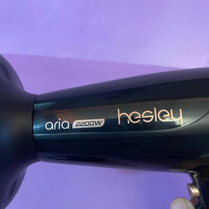 Hesley Professional Quick Hair Dryer