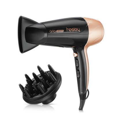 Hesley Professional Quick Hair Dryer