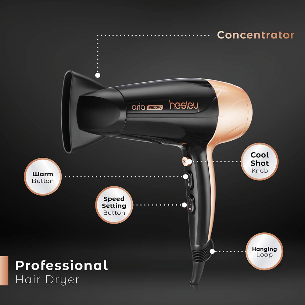 Hesley Professional Quick Hair Dryer