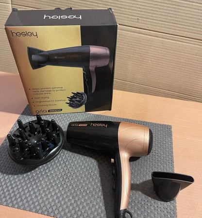 Hesley Professional Quick Hair Dryer